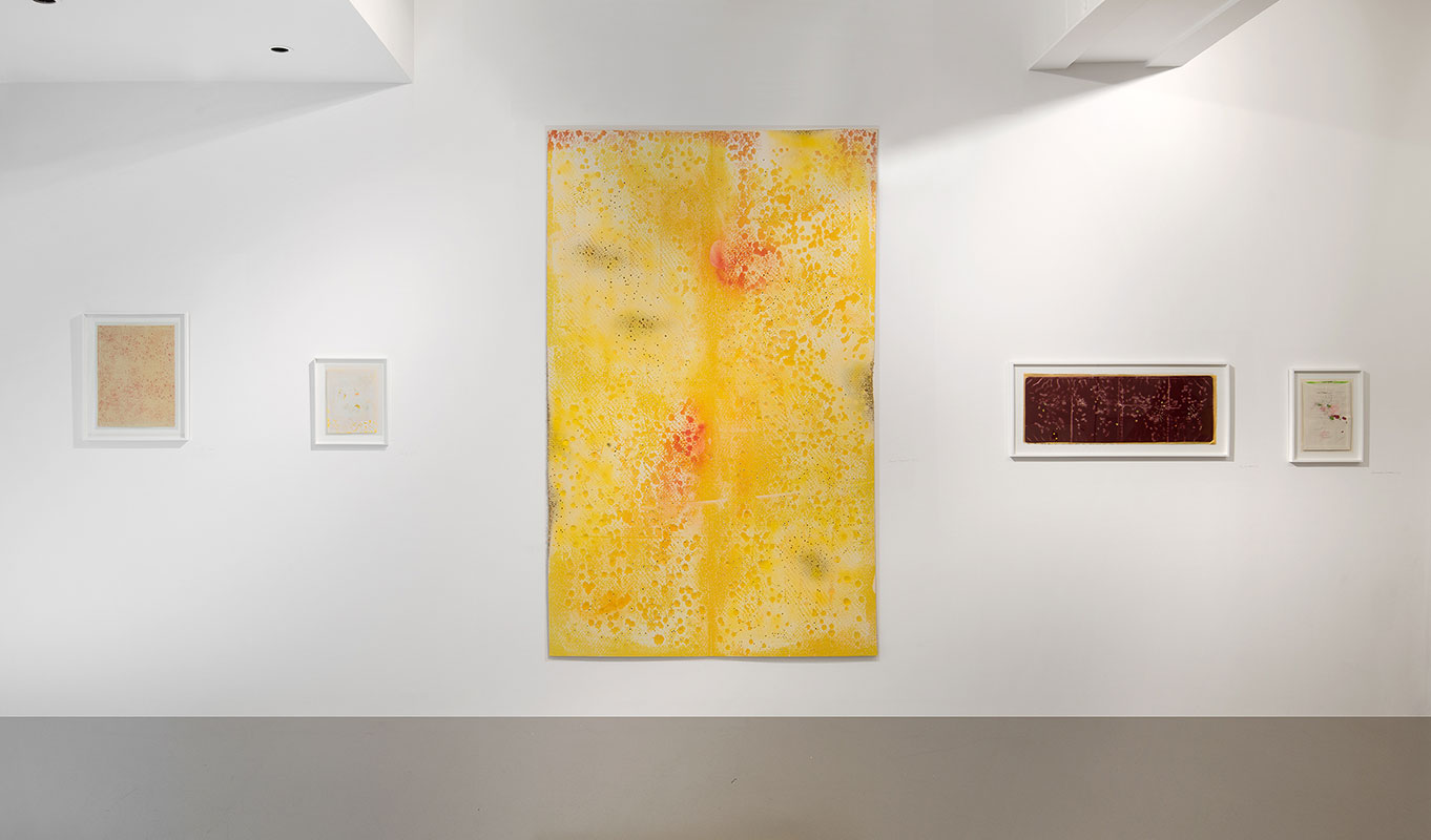 Vues d’ensemble de l’exposition de Dominique De Beir, Parti-pris couleur (accroc & caractère 1), 2022, crédit photo : A. Ricci