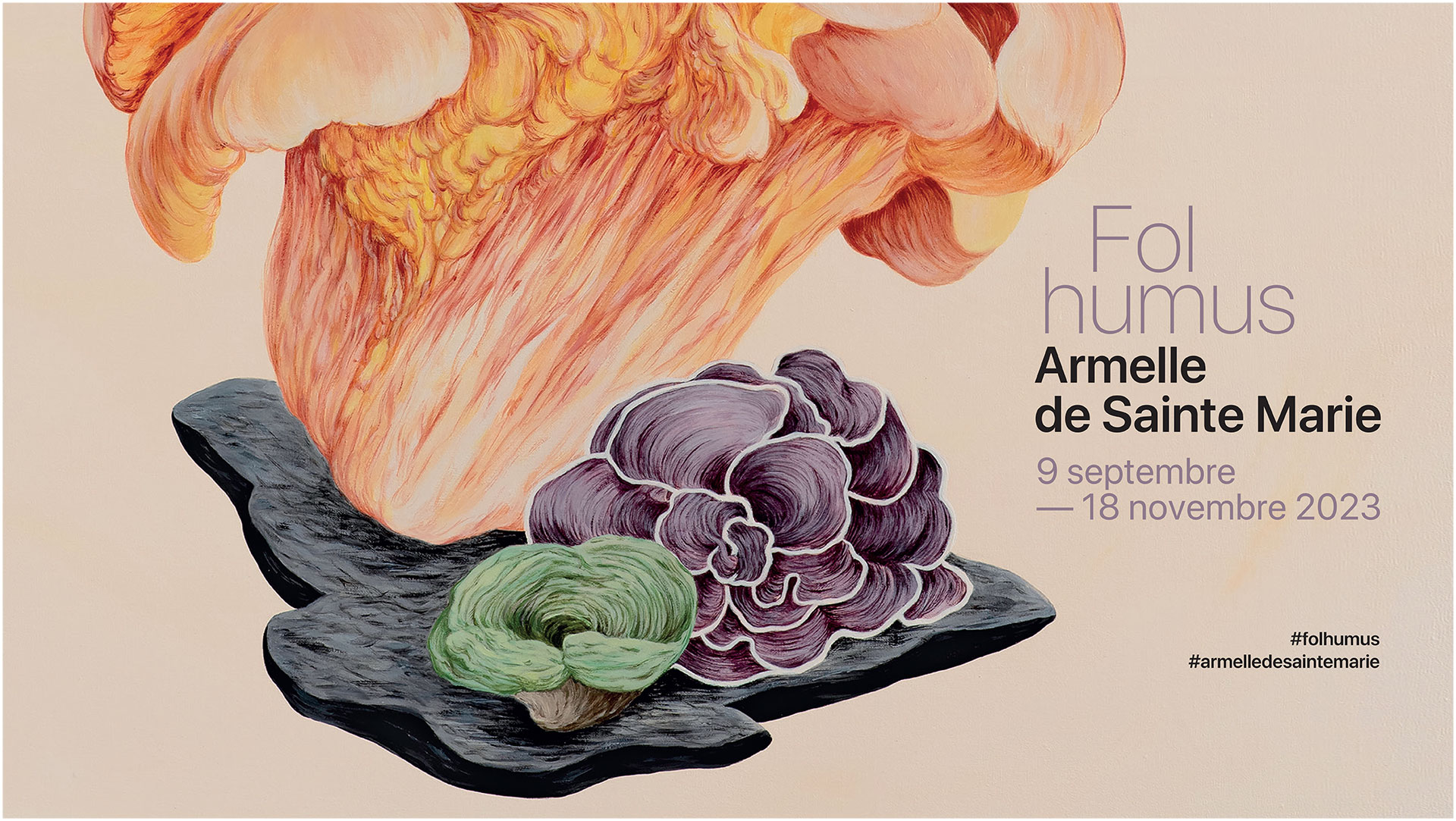 Armelle de Sainte Marie - Fol humus - du 9 septembre au 18 novembre 2023